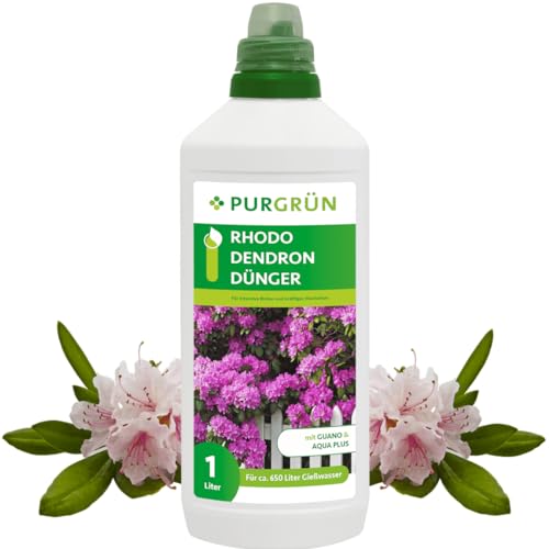 Purgrün Rhododendrondünger | Wunderelixier für Farbexplosion & Vitalität |...