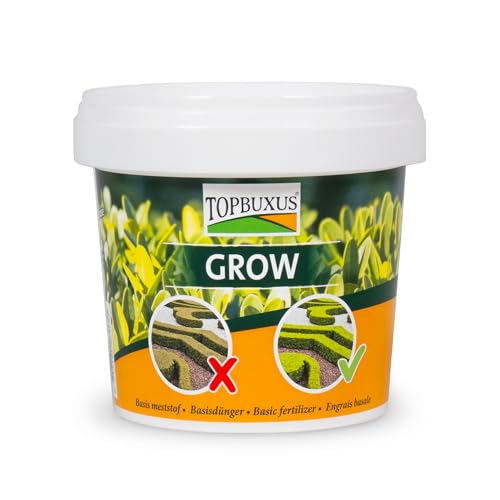 TOPBUXUS GROW - Professioneller Buchsbaumdünger - 500g für 10m2 - Keine gelben...